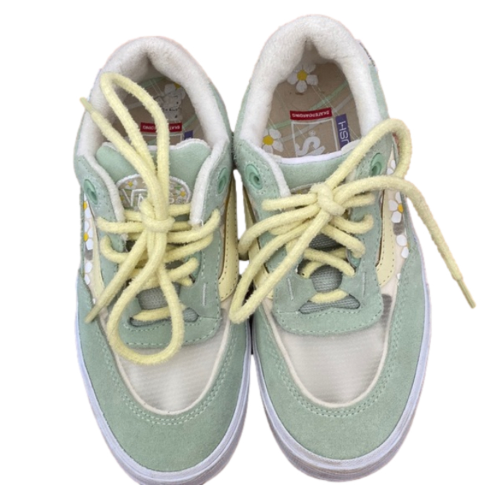 Vans Wayvee Brighton skate shoes